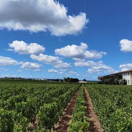 Au Coeur Des Vignobles
