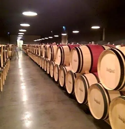 Au Coeur Des Vignobles 住宿加早餐酒店 圣埃斯泰夫