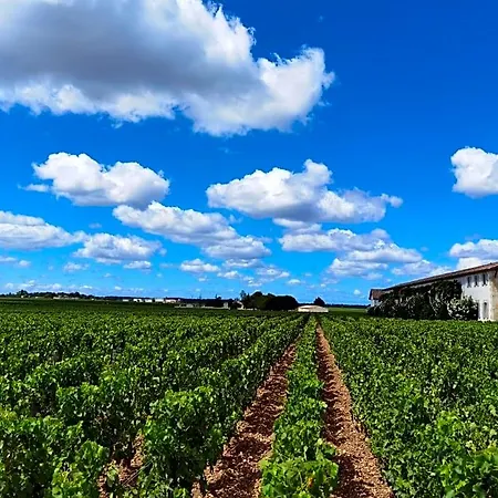 Au Coeur Des Vignobles Saint-Estephe (Gironde)